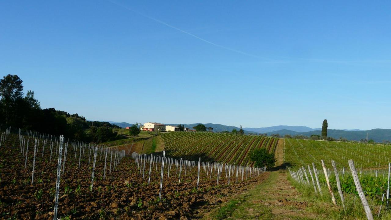 Villa Pian De Noci - Tenuta del Palagio Mercatale Val Di Pesa Esterno foto